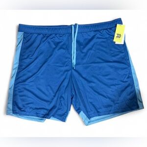🍗 All in Motion Sky Blue Performance Shorts